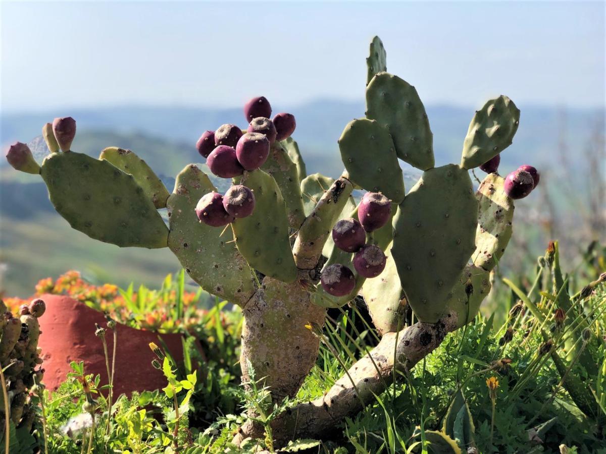 Evergreen House Agrigento Kültér fotó