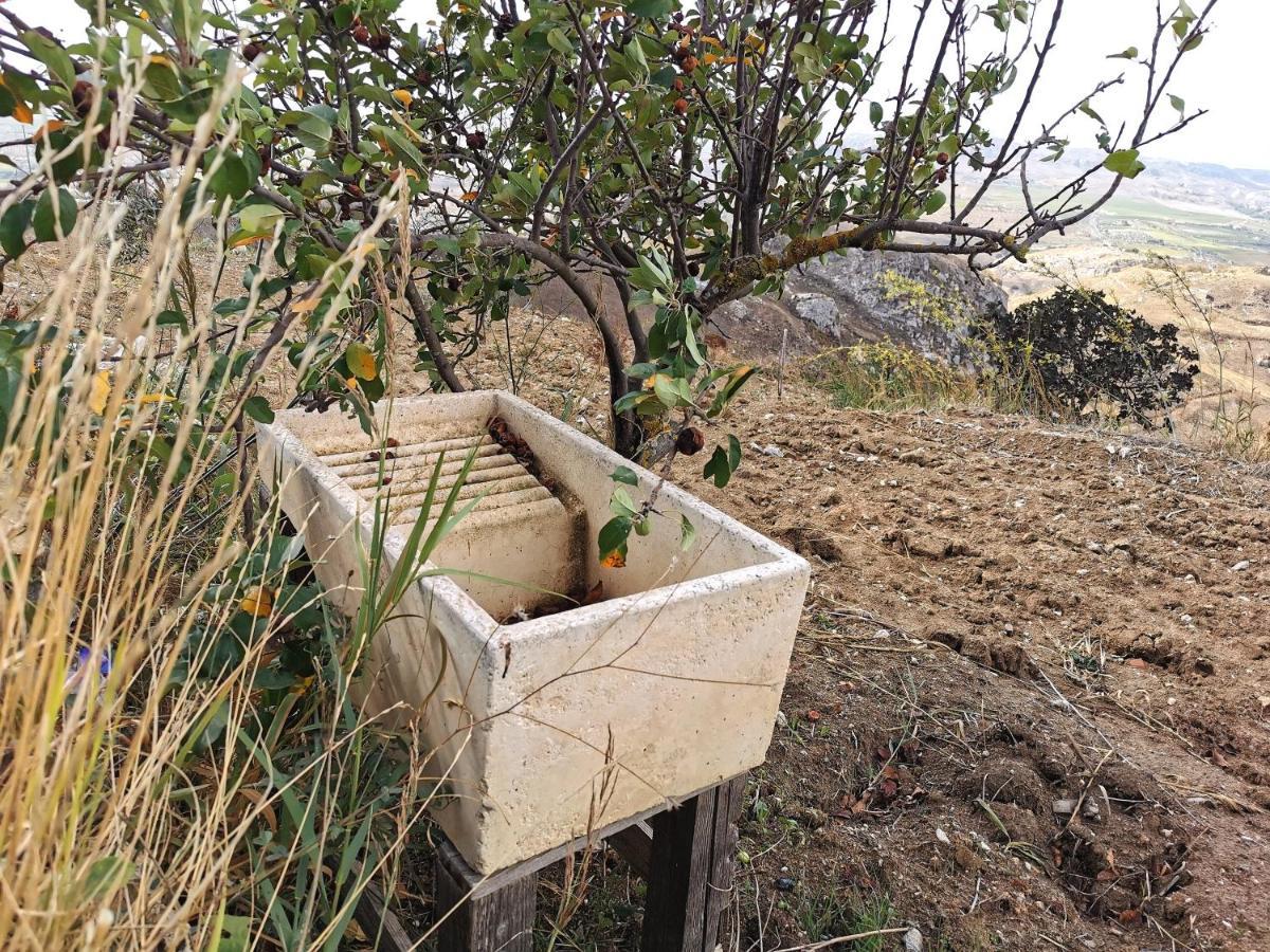 Evergreen House Agrigento Kültér fotó